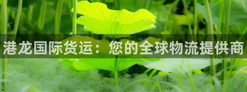 尊龙凯时充值不到账：港龙国际货运：您的全球物流提供商