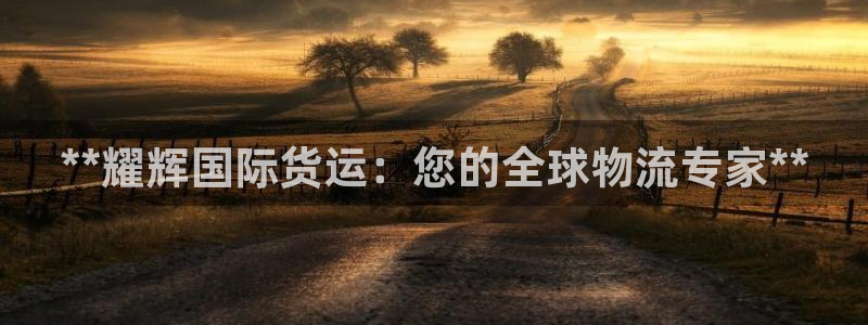 d88尊龙手机客户端下载：**耀辉国际货运：您的全球物流