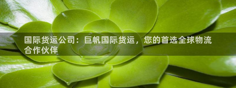 尊龙l1500：国际货运公司：巨帆国际货运，您的首选全球