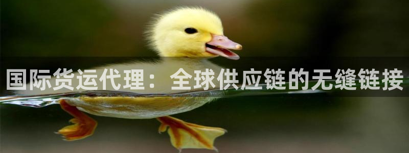 尊龙凯时产品种类：国际货运代理：全球供应链的无缝链接
