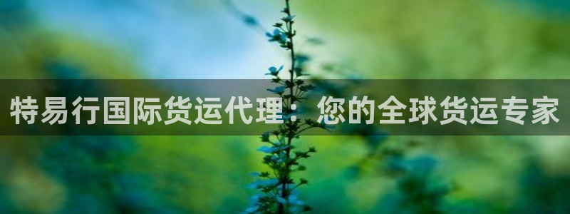 尊龙 5：特易行国际货运代理：您的全球货运专家