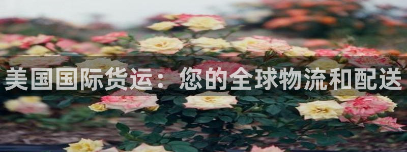 尊龙凯时官网网址：美国国际货运：您的全球物流和配送