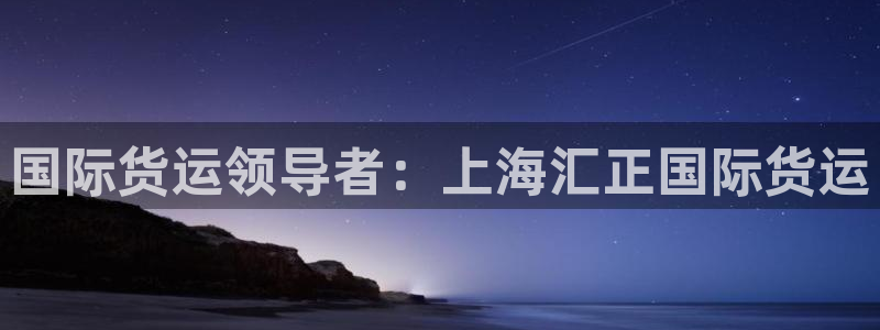 尊龙旗舰厅app：国际货运领导者：上海汇正国际货运