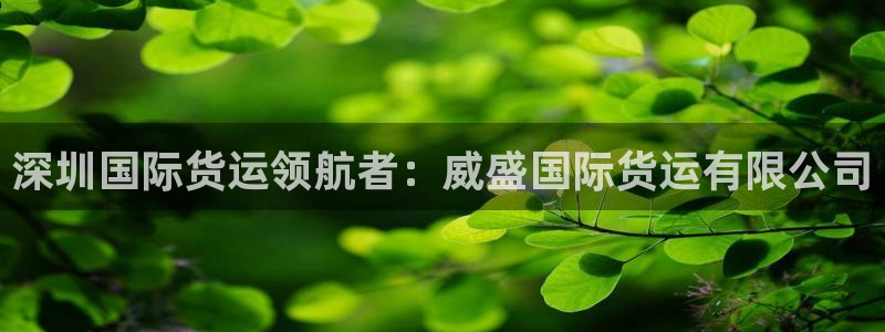 尊龙贴吧：深圳国际货运领航者：威盛国际货运有限公司