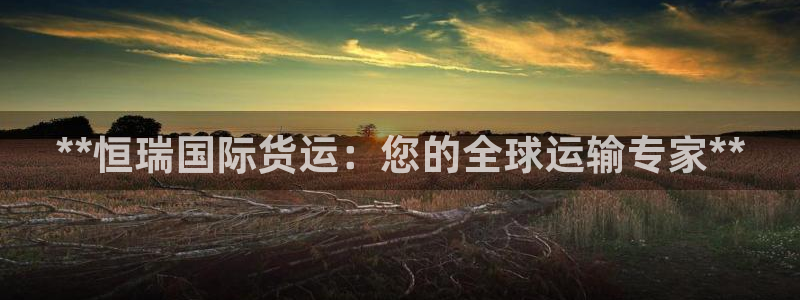 尊龙负面新闻：**恒瑞国际货运：您的全球运输专家**