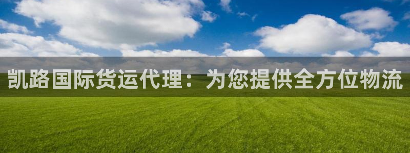 尊龙官网/首选kpm：凯路国际货运代理：为您提供全方位物