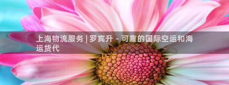 尊龙凯时网站是什么地方人开的：上海物流服务 | 罗宾升 