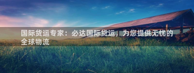 尊龙凯时人生就是博官网登录：国际货运专家：必达国际货运，