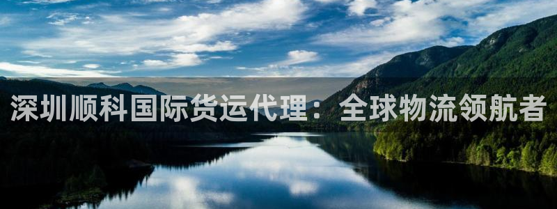 尊龙网址苹果版下载：深圳顺科国际货运代理：全球物流领航者