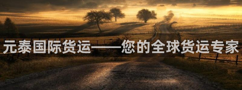尊龙凯时一人生就是博登入：元泰国际货运——您的全球货运专