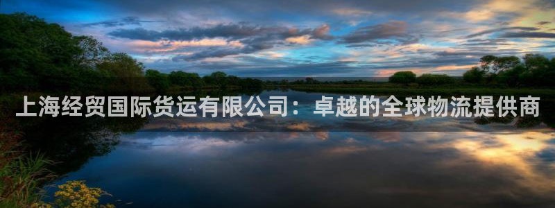 尊龙最近一次露面：上海经贸国际货运有限公司：卓越的全球物