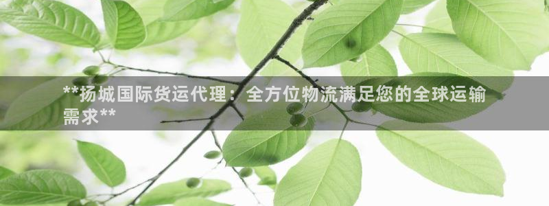 尊龙人生就是博官方官网：**扬城国际货运代理：全方位物流