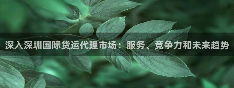 尊龙人生就是博现金：深入深圳国际货运代理市场：服务、竞争