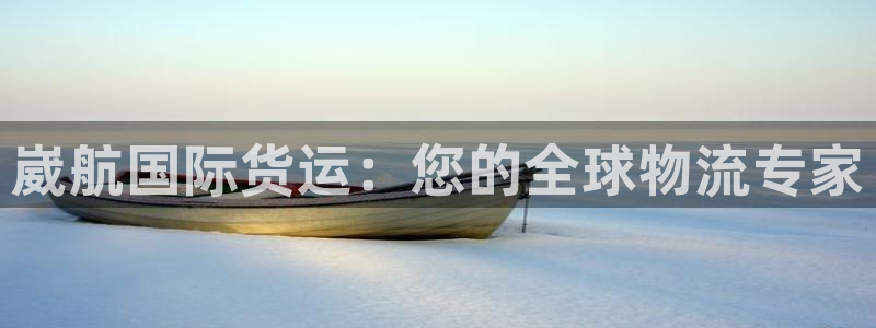 尊龙网址是选访问zd207：崴航国际货运：您的全球物流专