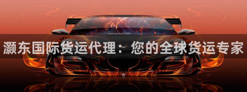 尊龙目前照片：灏东国际货运代理：您的全球货运专家
