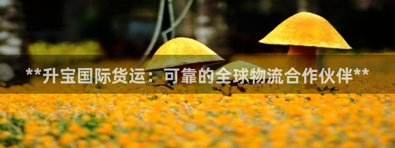 尊龙凯时官网平台：**升宝国际货运：可靠的全球物流合作伙