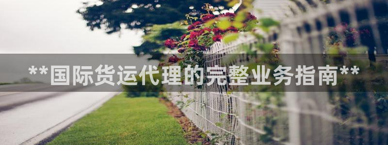 尊龙凯时平台有没有不到账的：**国际货运代理的完整业务指