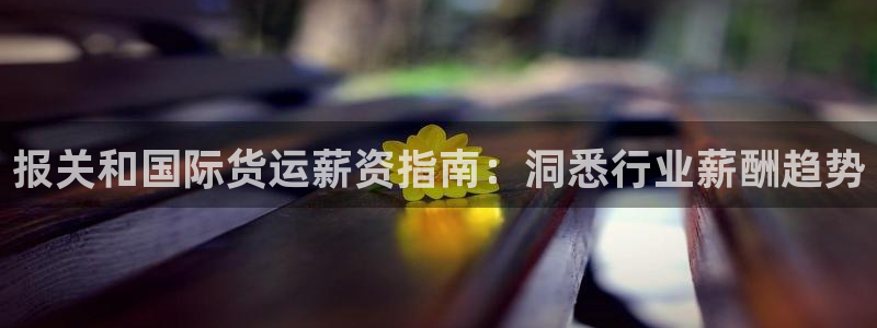 尊龙,人生就是搏：报关和国际货运薪资指南：洞悉行业薪酬趋