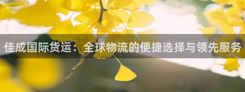 尊龙t600怎么样