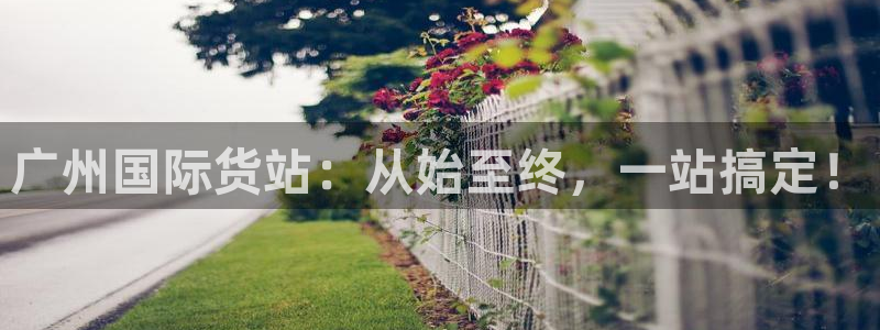 尊龙凯时下载人生就是博