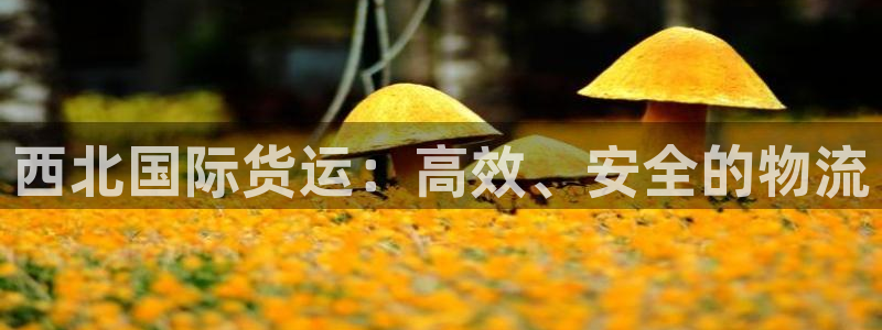 尊龙凯时白家乐Abb下载