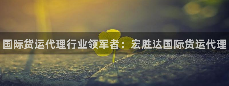 尊龙凯时请求参数不符合：国际货运代理行业领军者：宏胜达国