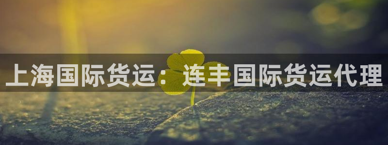 尊龙人生就是博手机版下载：上海国际货运：连丰国际货运代理
