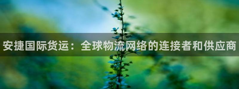 尊龙t600怎么样