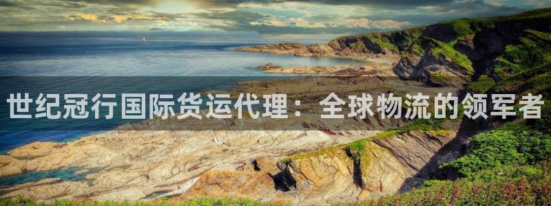 尊龙凯时人生就是博·(中国)官网首页：世纪冠行国际货运代