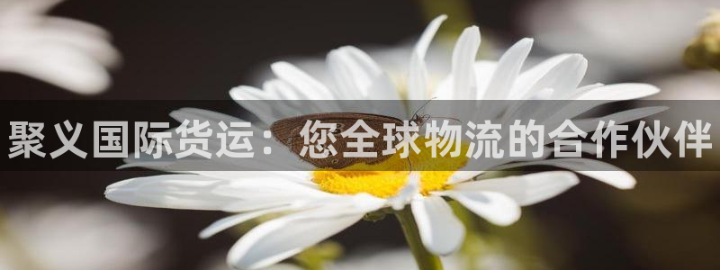 尊龙旗舰厅