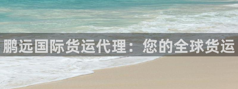 尊龙z6.con：鹏远国际货运代理：您的全球货运