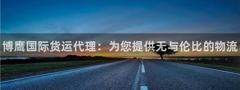 尊龙凯时人生就博：博鹰国际货运代理：为您提供无与伦比的物