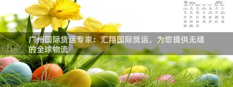 尊龙凯时城游戏官网：广州国际货运专家：汇翔国际货运，为您