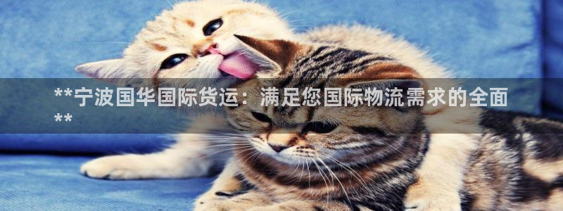 尊龙凯时ag旗舰：**宁波国华国际货运：满足您国际物流需