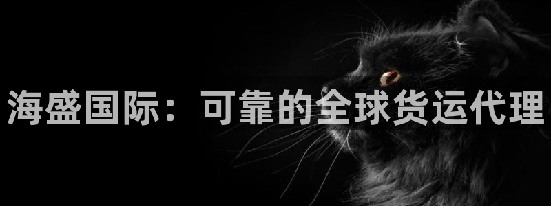 z6尊龙凯时：海盛国际：可靠的全球货运代理