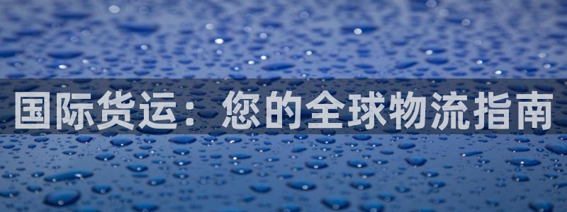 尊龙官网/首选kpm：国际货运：您的全球物流指南