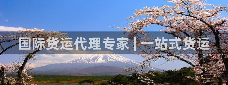 尊龙登录地址：国际货运代理专家 | 一站式货运